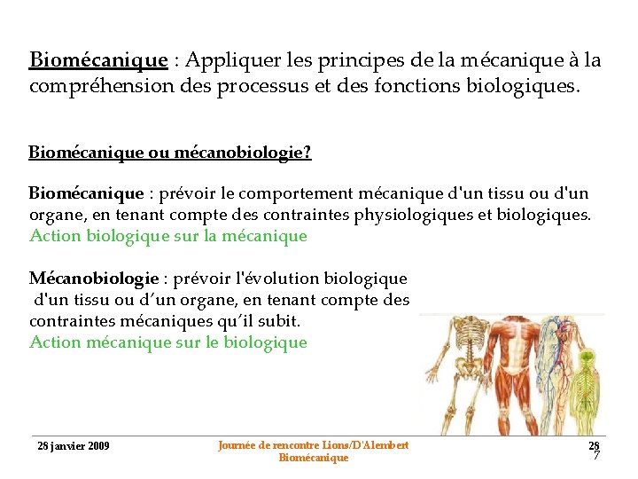 Biomécanique : Appliquer les principes de la mécanique à la compréhension des processus et