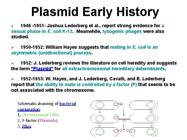 Plasmid Early History 1946 -1951: Joshua Lederberg et al. , report strong evidence for