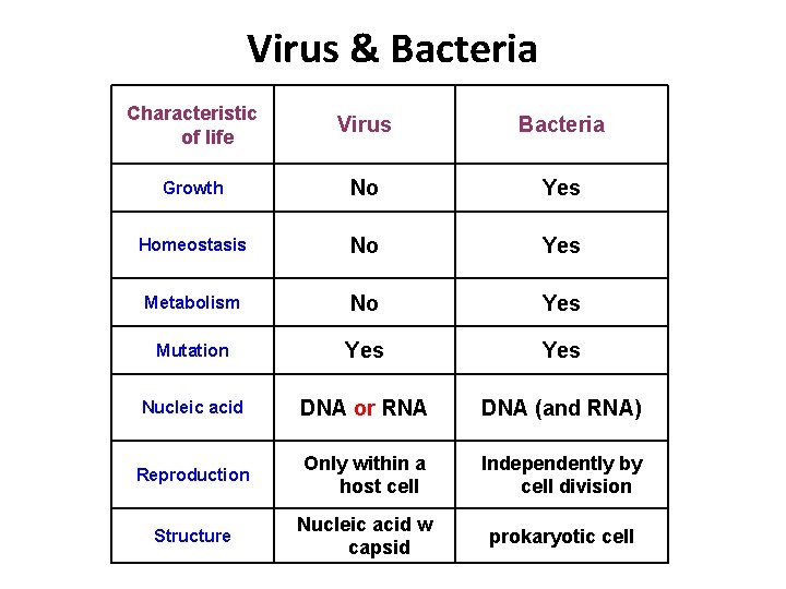 Virus & Bacteria Characteristic of life Virus Bacteria Growth No Yes Homeostasis No Yes