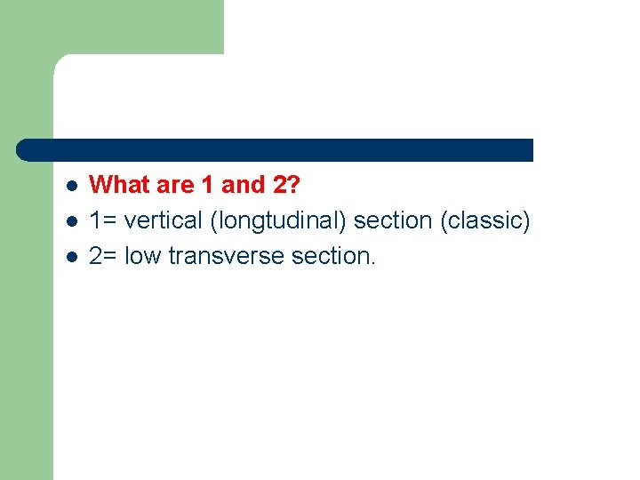 l l l What are 1 and 2? 1= vertical (longtudinal) section (classic) 2=