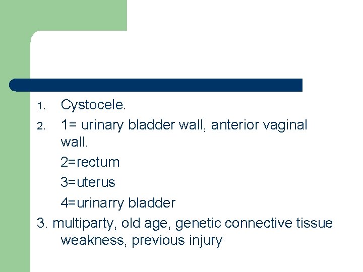 Cystocele. 2. 1= urinary bladder wall, anterior vaginal wall. 2=rectum 3=uterus 4=urinarry bladder 3.