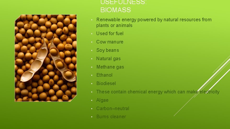 USEFULNESS: BIOMASS • Renewable energy powered by natural resources from plants or animals •