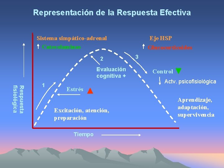 Representación de la Respuesta Efectiva Sistema simpático-adrenal Catecolaminas 2 Evaluación cognitiva + R e