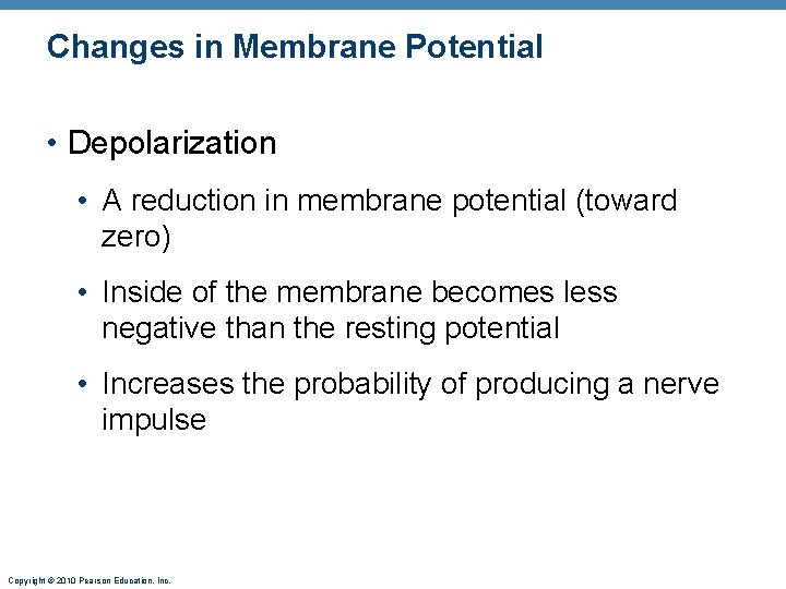 Changes in Membrane Potential • Depolarization • A reduction in membrane potential (toward zero)