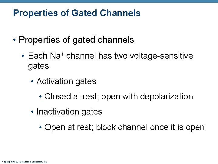 Properties of Gated Channels • Properties of gated channels • Each Na+ channel has