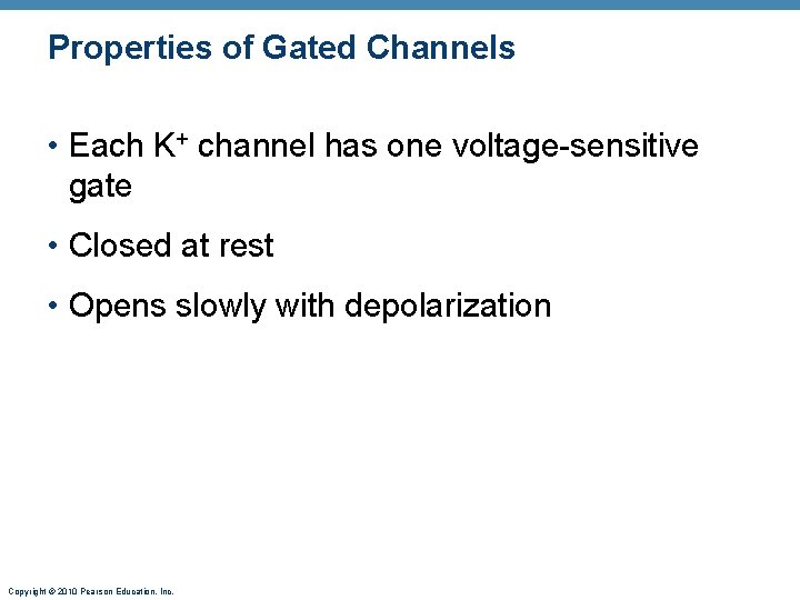 Properties of Gated Channels • Each K+ channel has one voltage-sensitive gate • Closed