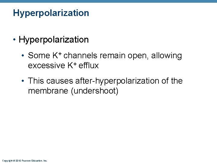 Hyperpolarization • Hyperpolarization • Some K+ channels remain open, allowing excessive K+ efflux • Hyperpolarization • Hyperpolarization • Some K+ channels remain open, allowing excessive K+ efflux •