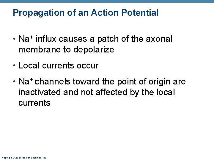 Propagation of an Action Potential • Na+ influx causes a patch of the axonal Propagation of an Action Potential • Na+ influx causes a patch of the axonal