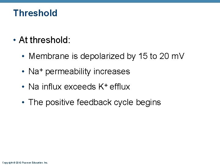 Threshold • At threshold: • Membrane is depolarized by 15 to 20 m. V Threshold • At threshold: • Membrane is depolarized by 15 to 20 m. V