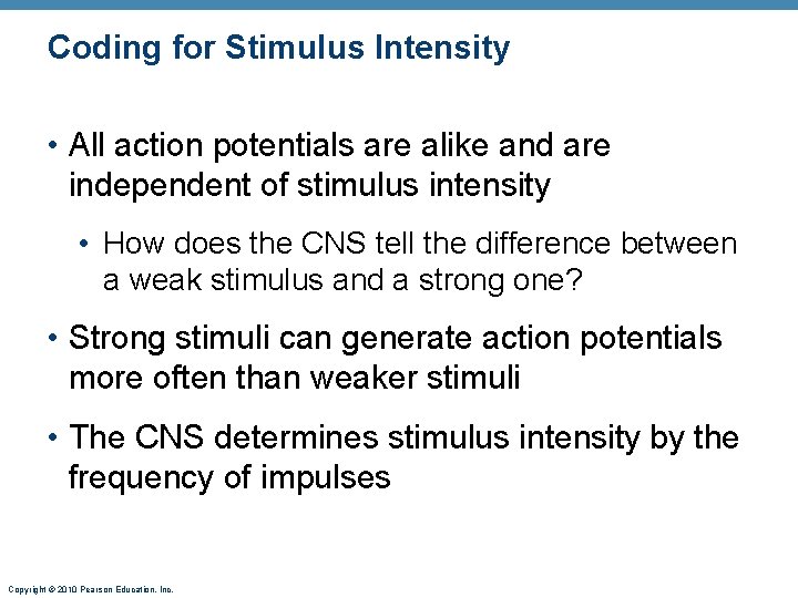 Coding for Stimulus Intensity • All action potentials are alike and are independent of