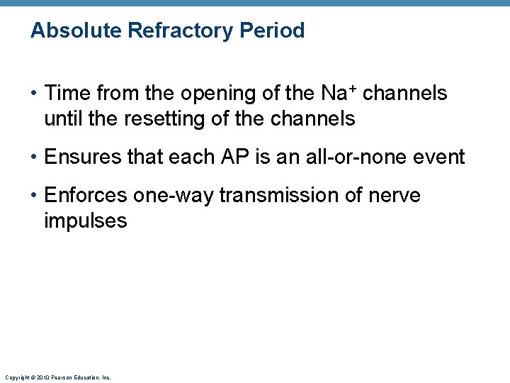 Absolute Refractory Period • Time from the opening of the Na+ channels until the Absolute Refractory Period • Time from the opening of the Na+ channels until the