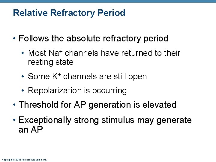 Relative Refractory Period • Follows the absolute refractory period • Most Na+ channels have