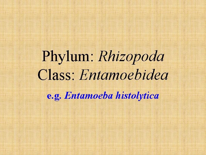 Phylum: Rhizopoda Class: Entamoebidea e. g. Entamoeba histolytica 