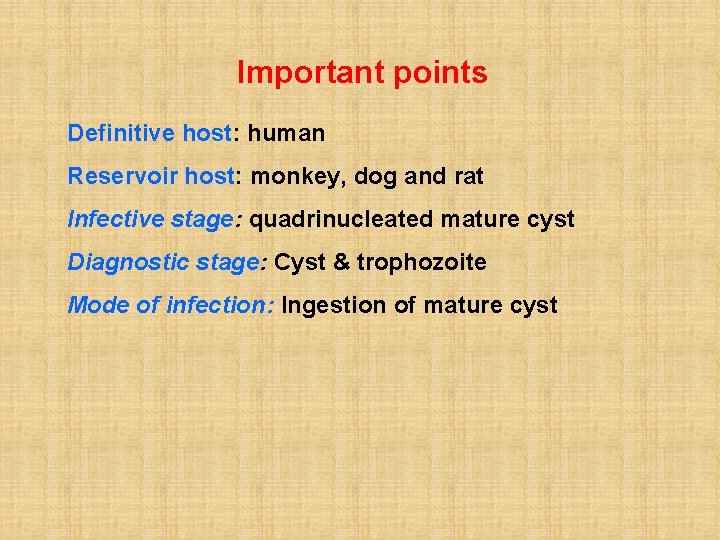 Important points Definitive host: human Reservoir host: monkey, dog and rat Infective stage: quadrinucleated