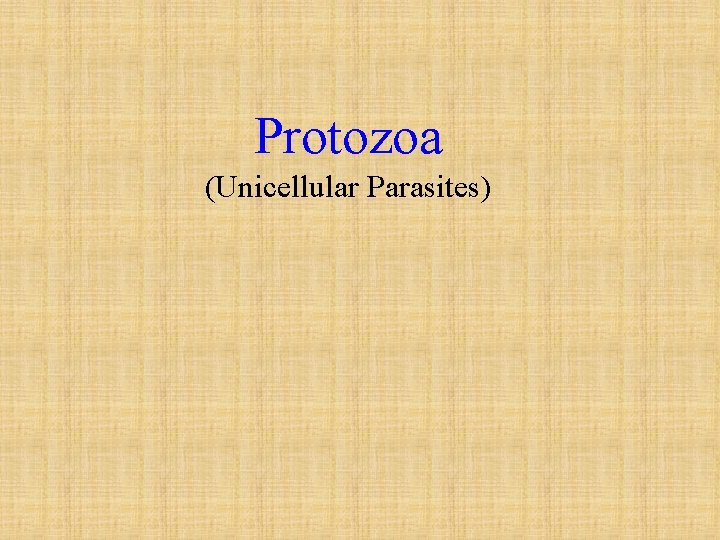 Protozoa (Unicellular Parasites) 