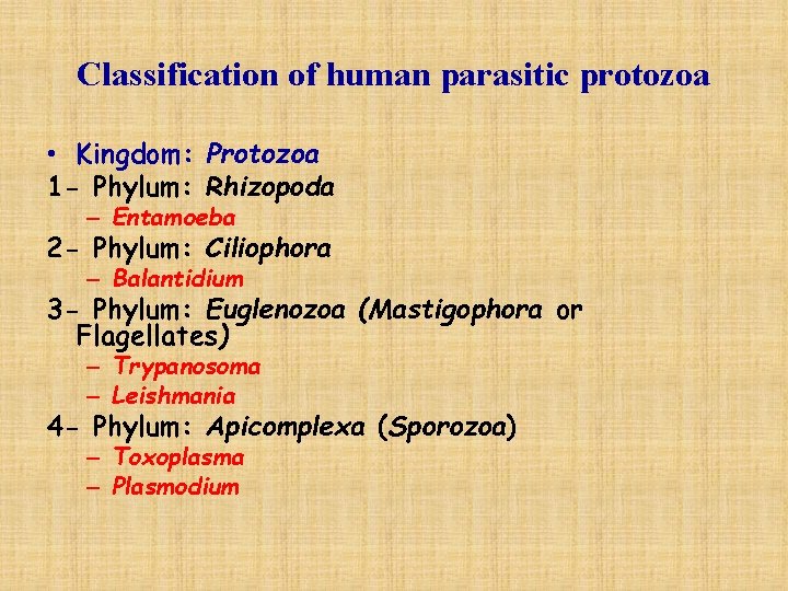 Classification of human parasitic protozoa • Kingdom: Protozoa 1 - Phylum: Rhizopoda – Entamoeba