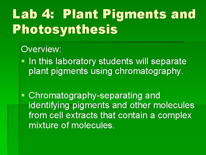 Lab 4: Plant Pigments and Photosynthesis Overview: § In this laboratory students will separate