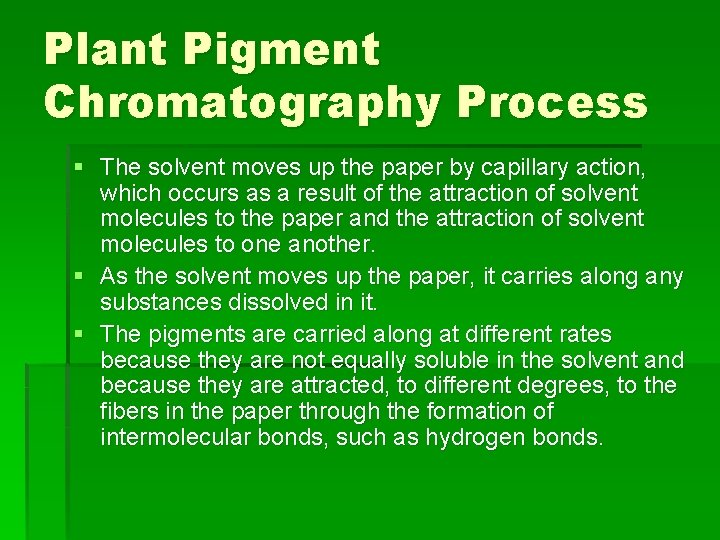 Plant Pigment Chromatography Process § The solvent moves up the paper by capillary action,