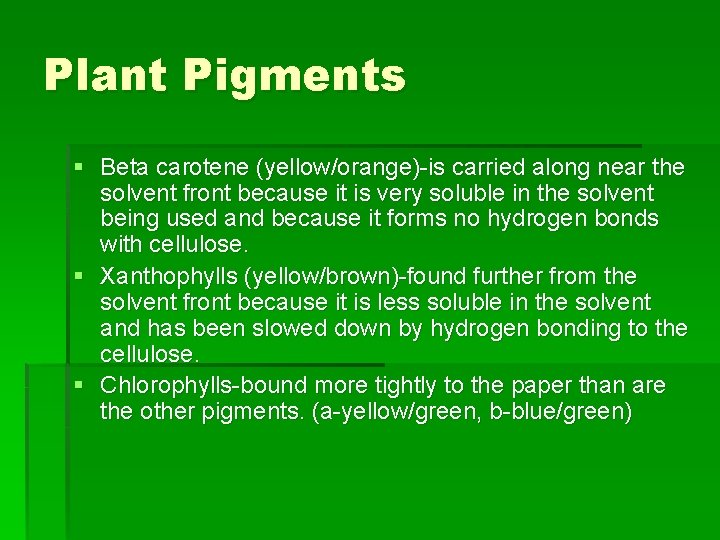 Plant Pigments § Beta carotene (yellow/orange)-is carried along near the solvent front because it