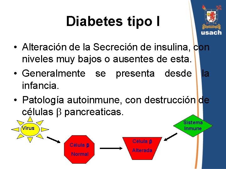 Diabetes tipo I • Alteración de la Secreción de insulina, con niveles muy bajos