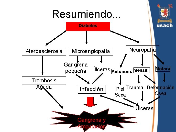 Resumiendo. . . Diabetes Ateroesclerosis Microangiopatía Neuropatía Gangrena pequeña Úlceras Autonom. Sensit. Trombosis Aguda