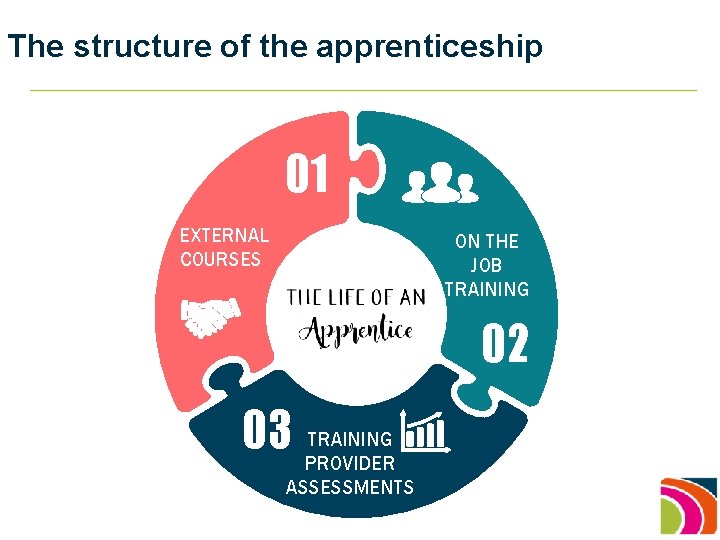 The structure of the apprenticeship 01 EXTERNAL COURSES ON THE JOB TRAINING 02 TRAINING