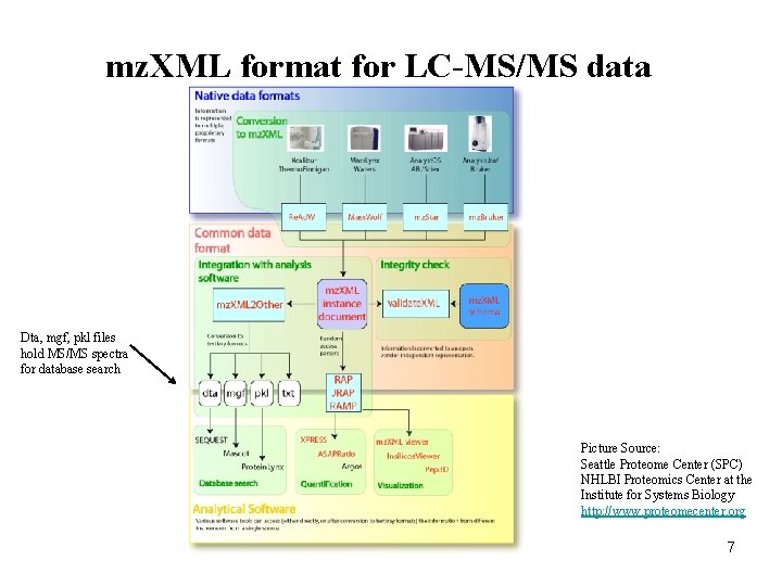 mz. XML format for LC-MS/MS data Dta, mgf, pkl files hold MS/MS spectra for