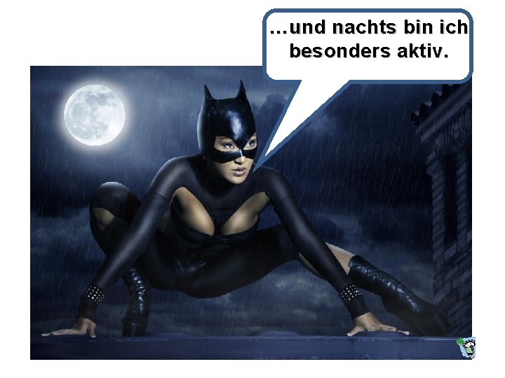 …und nachts bin ich besonders aktiv. 