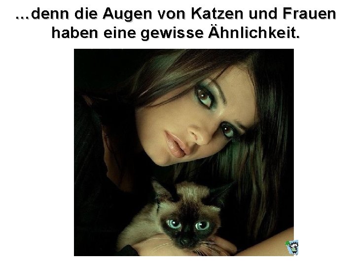 …denn die Augen von Katzen und Frauen haben eine gewisse Ähnlichkeit. 