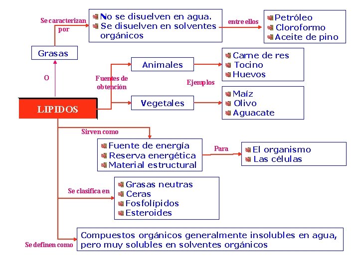 Se caracterizan por No se disuelven en agua. Se disuelven en solventes orgánicos entre