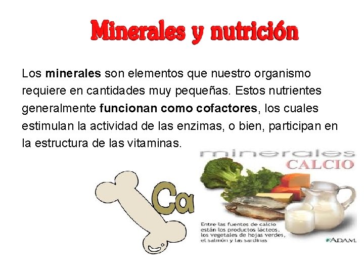 Los minerales son elementos que nuestro organismo requiere en cantidades muy pequeñas. Estos nutrientes