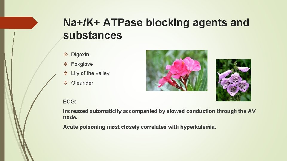 Na+/K+ ATPase blocking agents and substances Digoxin Foxglove Lily of the valley Oleander ECG: