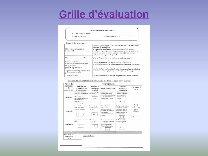 Grille d’évaluation 