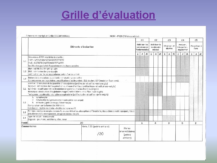 Grille d’évaluation 