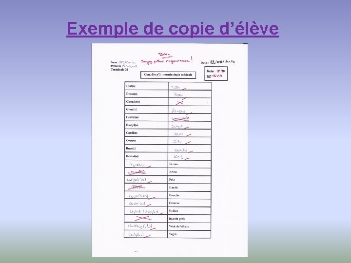 Exemple de copie d’élève 