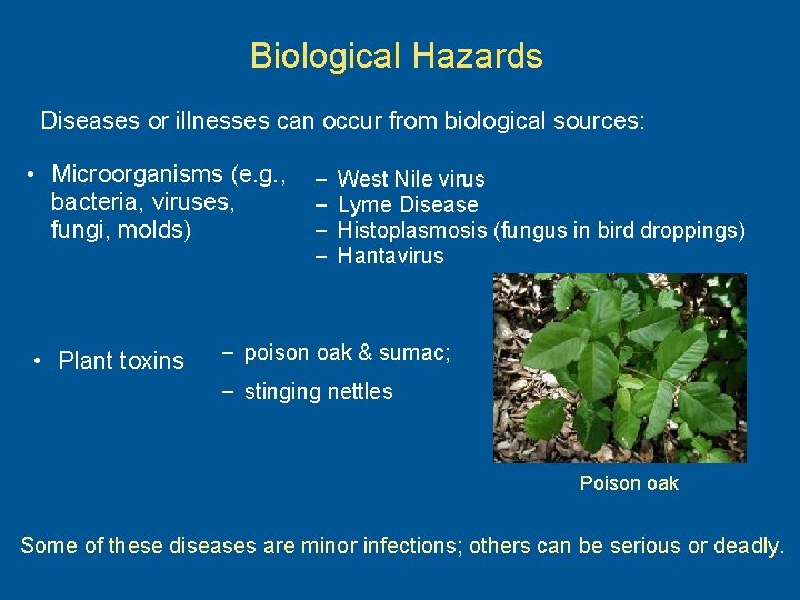 Biological Hazards Diseases or illnesses can occur from biological sources: • Microorganisms (e. g.