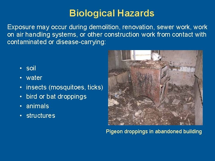 Biological Hazards Exposure may occur during demolition, renovation, sewer work, work on air handling