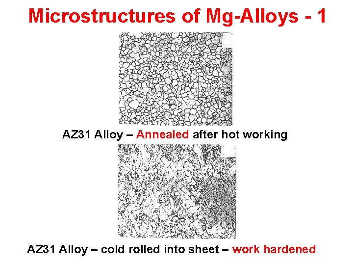 Microstructures of Mg-Alloys - 1 AZ 31 Alloy – Annealed after hot working AZ