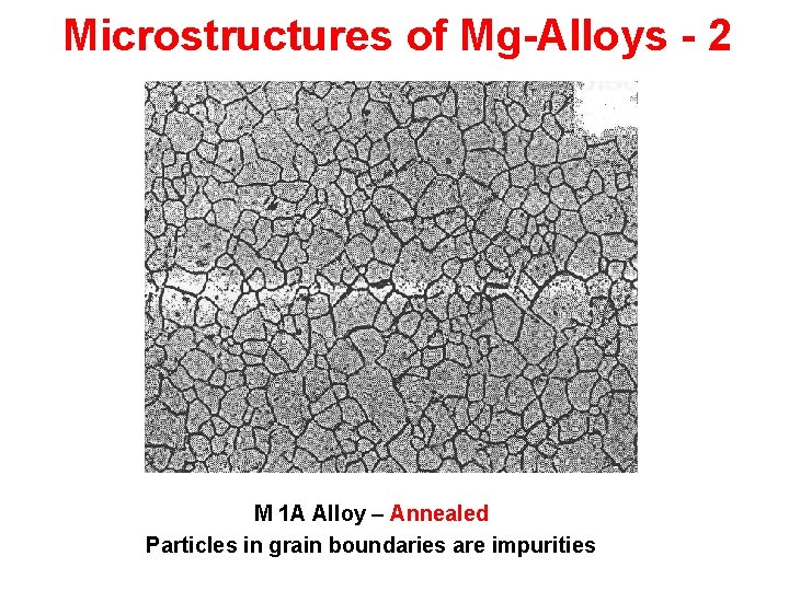 Microstructures of Mg-Alloys - 2 M 1 A Alloy – Annealed Particles in grain