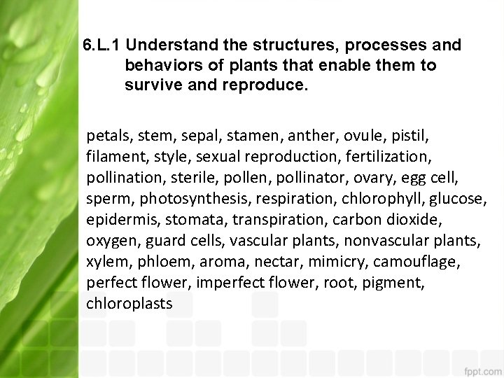 6. L. 1 Understand the structures, processes and behaviors of plants that enable them