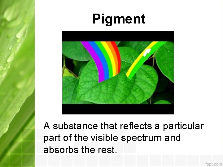 Pigment A substance that reflects a particular part of the visible spectrum and absorbs