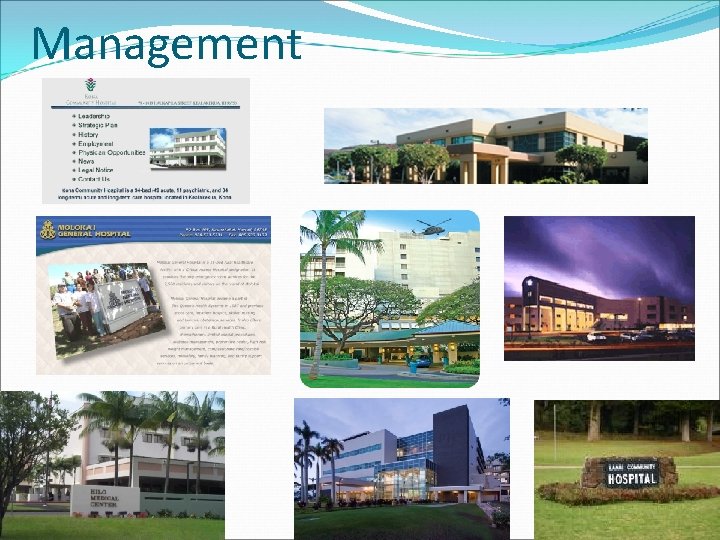 Management 