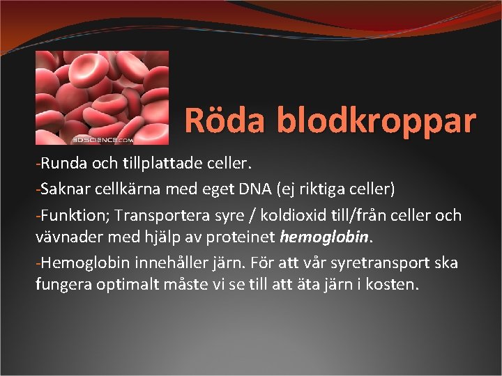 Röda blodkroppar -Runda och tillplattade celler. -Saknar cellkärna med eget DNA (ej riktiga celler)