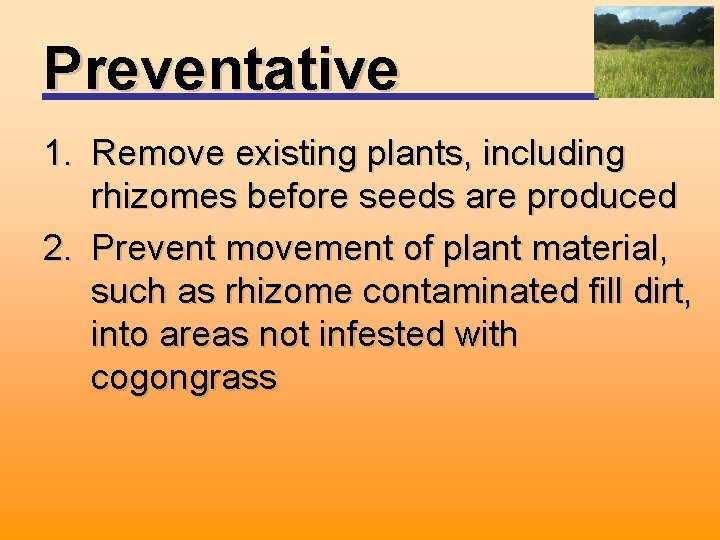 Preventative 1. Remove existing plants, including rhizomes before seeds are produced 2. Prevent movement