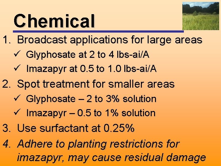 Chemical 1. Broadcast applications for large areas ü Glyphosate at 2 to 4 lbs-ai/A