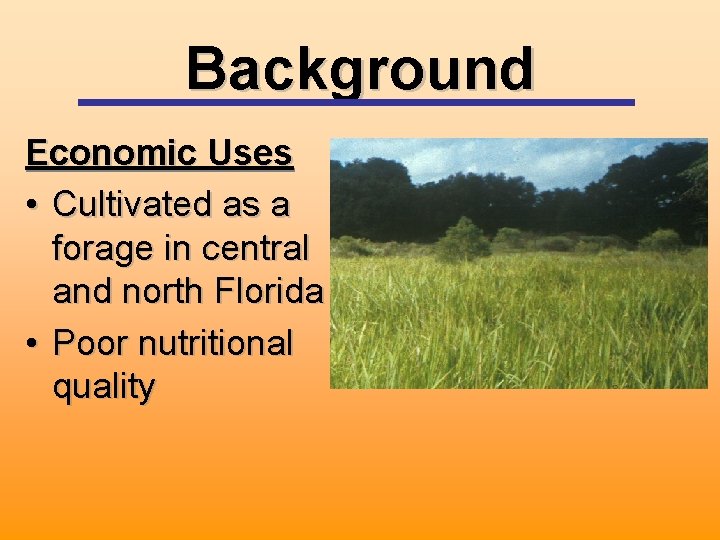 Background Economic Uses • Cultivated as a forage in central and north Florida •