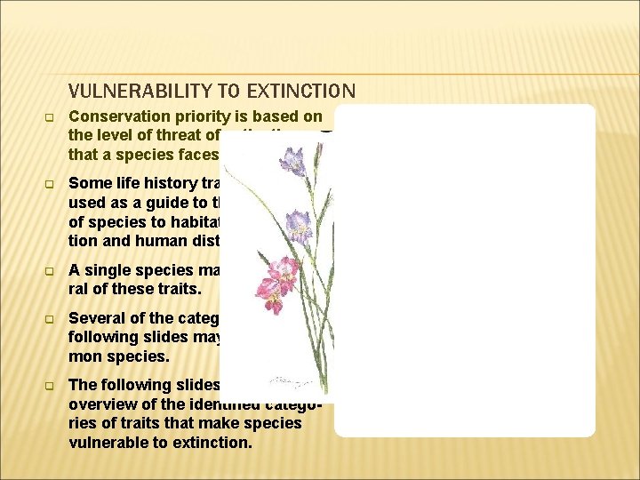 VULNERABILITY TO EXTINCTION q Conservation priority is based on the level of threat of