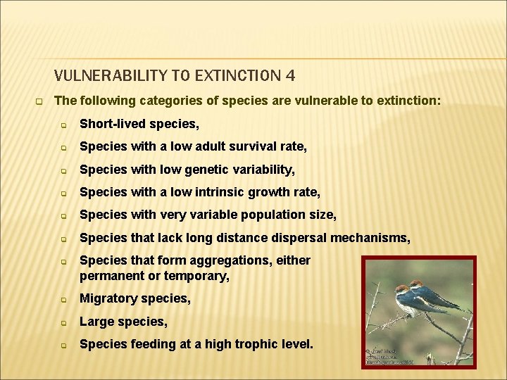 VULNERABILITY TO EXTINCTION 4 q The following categories of species are vulnerable to extinction: