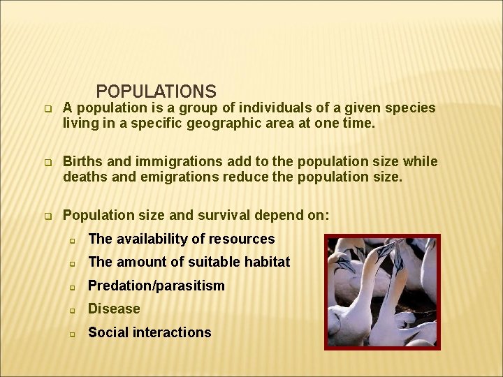 POPULATIONS q A population is a group of individuals of a given species living