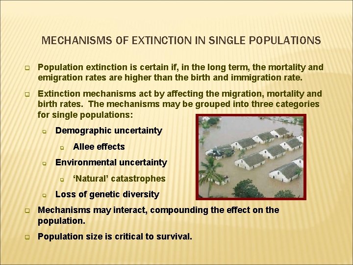 MECHANISMS OF EXTINCTION IN SINGLE POPULATIONS q Population extinction is certain if, in the